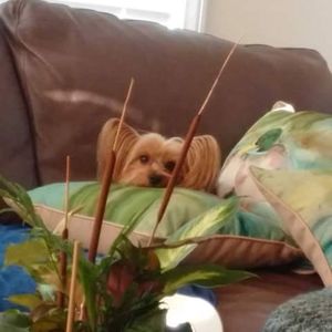 Meet your Posher, Sandy conway